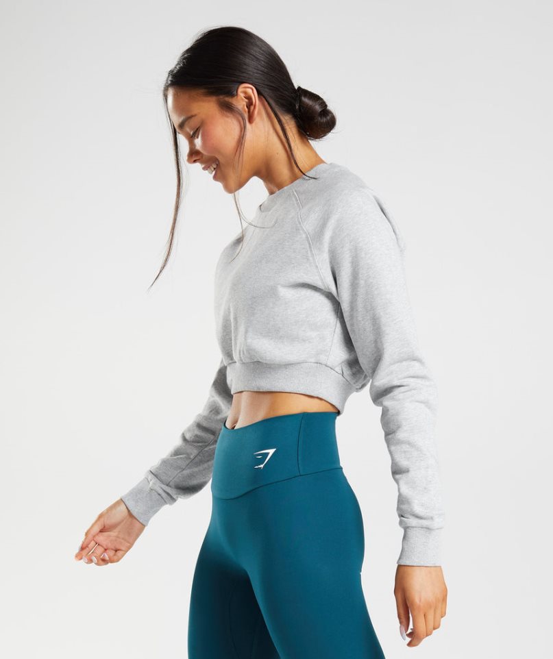 Bluzy Gymshark Treningowe Cropped Damskie Głęboka Szare | PL 578MFB